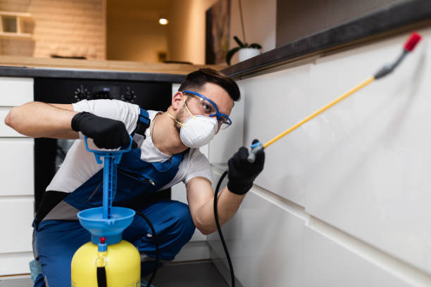 Best Mosquito Control Services  in Waterloo, IN