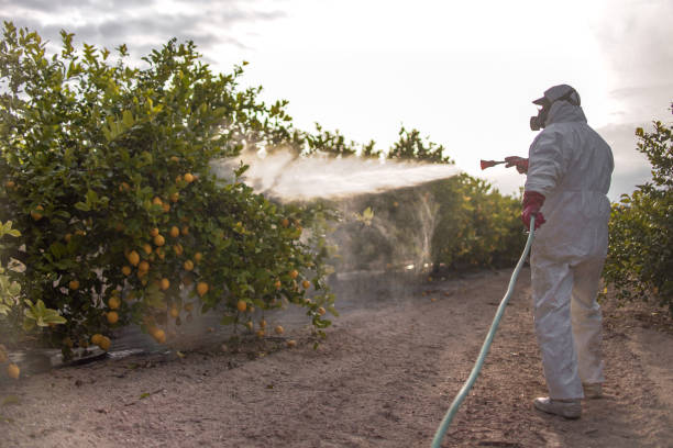 Best Ant Control Services  in Waterloo, IN