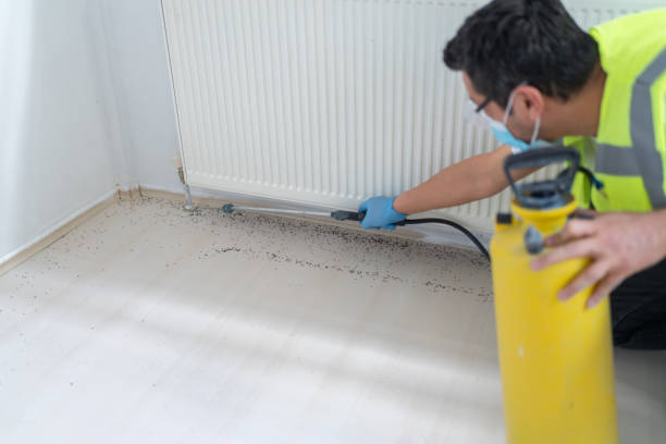 Best Cockroach Control Services  in Waterloo, IN