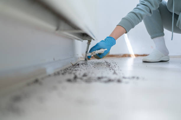 Waterloo, IN Pest Control Company