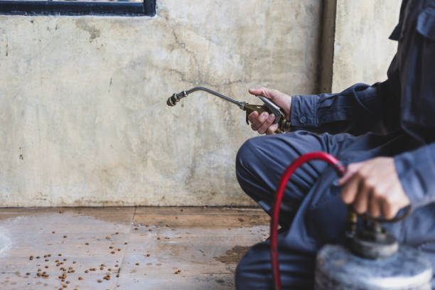 Best Pest Removal Services  in Waterloo, IN